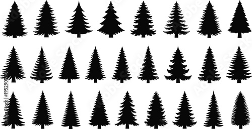 Evergreen tree silhouettes collection, pine fir spruce forest vector set, woodland nature icons isolated, landscape design elements for outdoor and holiday projects
