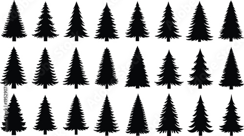 Collection of pine tree silhouettes set, evergreen forest vector icons, fir spruce shapes isolated, nature woodland design elements for landscape projects