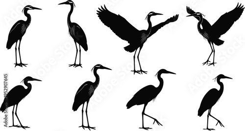 Collection of heron bird silhouettes in different poses standing walking and flying elegant waterbird wildlife vector illustration isolated on white background