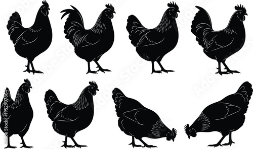 Chicken and rooster silhouettes set featuring farm poultry in various poses, domestic bird collection isolated on white background vector illustration