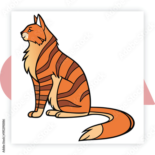 Set of cat on white background vector illustration
