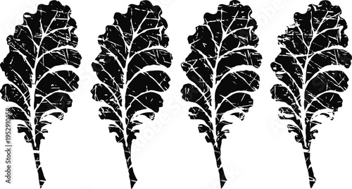 black kale leaves silhouette set four isolated leafy greens with textured detail on white background