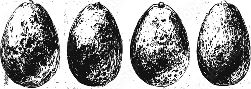 Vintage illustration of avocado fruits with detailed texture and shape variations