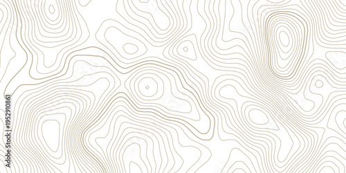 Minimal Beige Topographic Contour Line Pattern on Transparent Background with Flowing Organic Shapes, Abstract Terrain Map Design for Modern Cartography Projects.