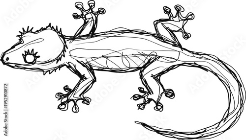 hand drawn lizard illustration sketch of reptile with detailed limbs and tail black and white animal drawing
