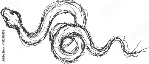 black and white sketch of a coiled snake with detailed scales and forked tongue