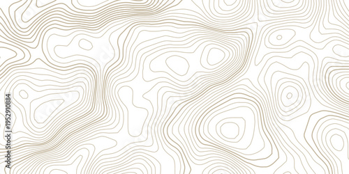Abstract Minimalist Topographic Map Pattern with Flowing Beige Contour Lines on Transparent Background, Organic Wavy Shapes and Seamless Geographic Design Texture.