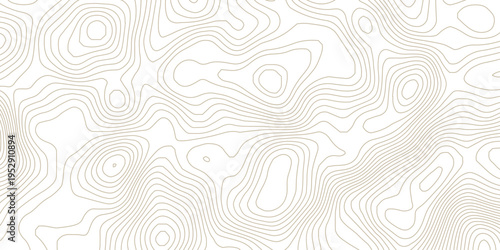 Modern Minimalist Topographic Map Background with Beige Contour Lines, Flowing Organic Terrain Shapes and Seamless Abstract Geographic Pattern.