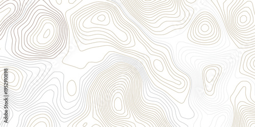 Minimal Beige Topographic Contour Line Pattern on Transparent Background with Flowing Organic Shapes, Abstract Terrain Map Design for Modern Cartography Projects.