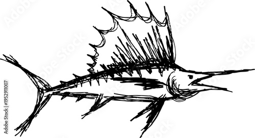 Black and white sailfish sketch illustration detailed hand drawn marlin fish with long bill and large dorsal fin ocean wildlife art