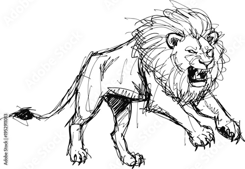 Roaring lion sketch hand drawn wild animal with mane and open mouth showing teeth, powerful predator illustration