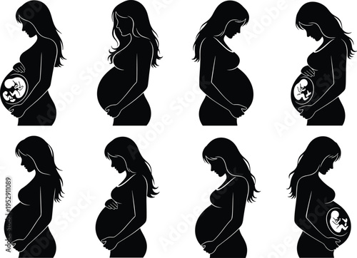 Pregnant Woman Silhouette Set with Fetus Illustration Embryo Development Stages Maternity Healthcare Pregnancy Progress Concept Isolated Vector Black White Graphics