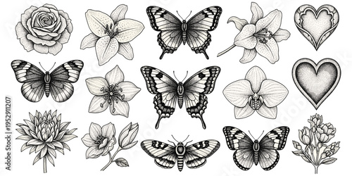Flower butterfly heart illustration set, roses lilies orchids detailed line art, botanical entomology sketch, stippled black white vector drawing