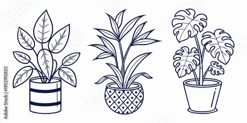 Three distinct houseplants in pots with varying leaf patterns and pot designs