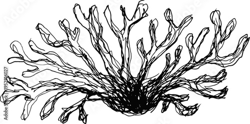 Black seaweed branch with thin twisting stems marine plant underwater nature illustration