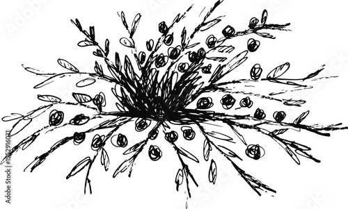 Black ink illustration of wild olive branches with leaves and ripe olives