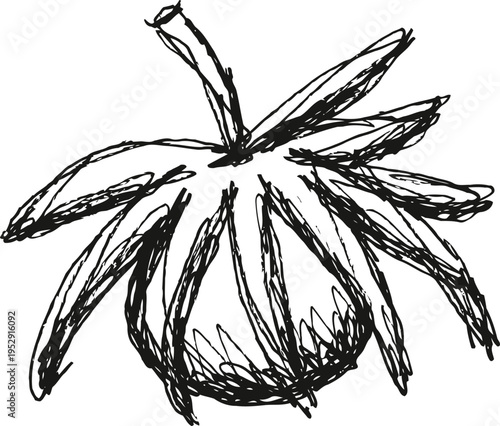 hand drawn tomato sketch with rough textured lines and organic outline