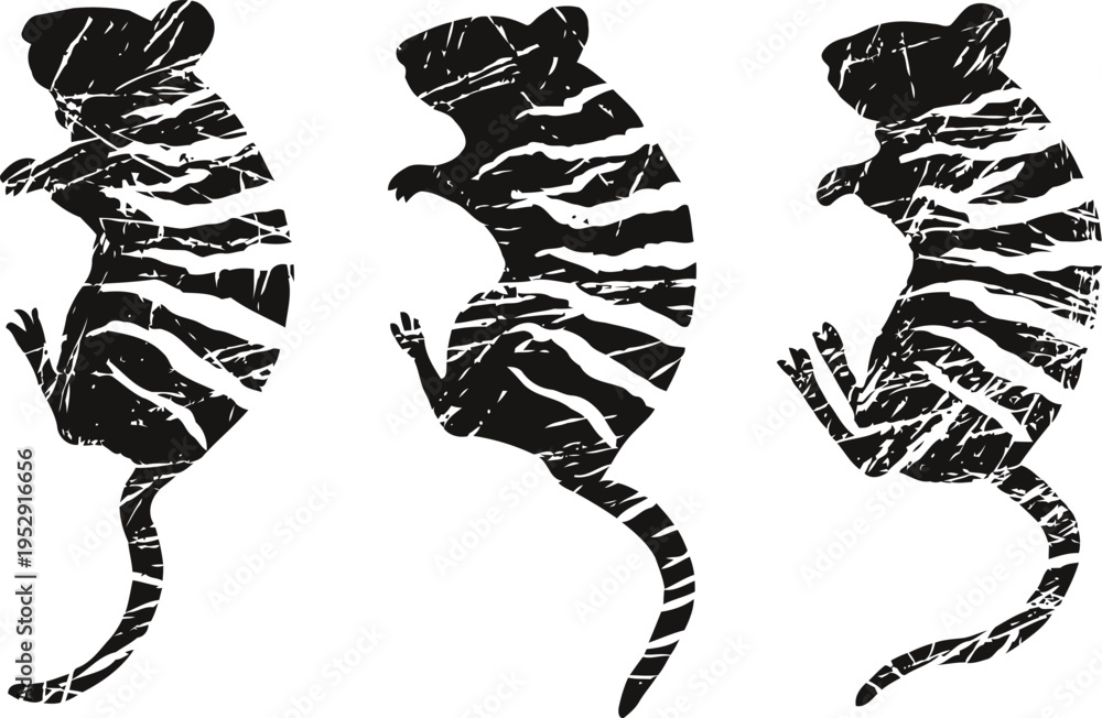 Obraz premium Three abstract rats with zebra stripes in different poses, black and white animal silhouettes