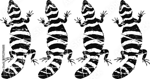 Four stylized black and white lizard illustrations with striped patterns and spread toes