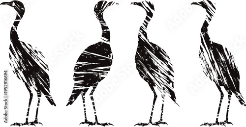 four black grunge heron silhouettes in various poses isolated on white background