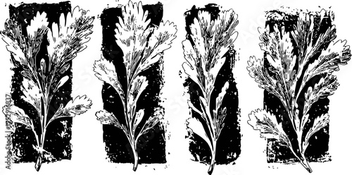 black and white botanical fern leaf illustrations in vertical rectangular frames