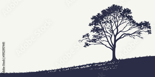 Silhouette of a solitary tree on a hill at sunset