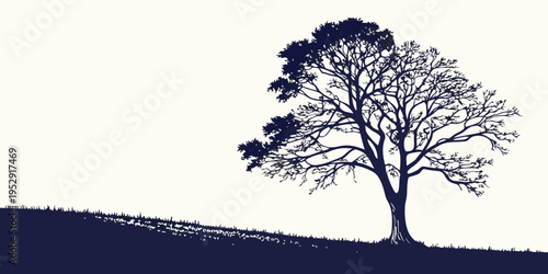 A solitary tree stands tall on a rolling hill under a clear blue sky