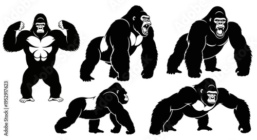 Set of Gorilla Poses: Aggressive, Standing, Walking, and Flexing Silhouettes