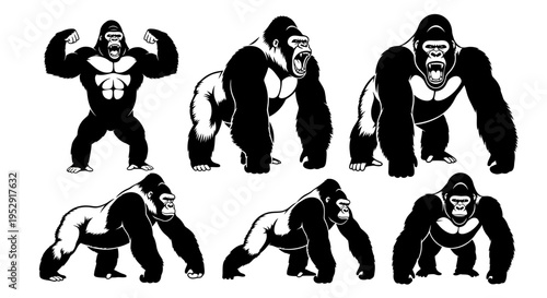 Set of Gorilla Poses, Black and White Vector Illustrations