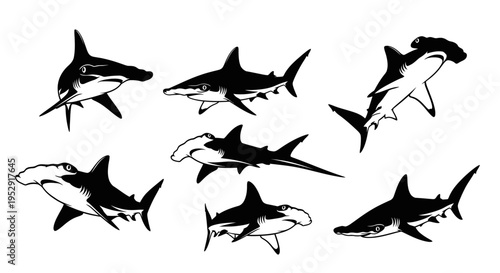 Set of Hammerhead and Tiger Sharks, Marine Life, Ocean Predators, Vector Illustrations
