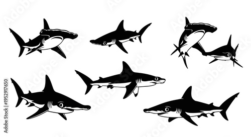 Set of Hammerhead Sharks and Other Shark Silhouettes Isolated on White Background