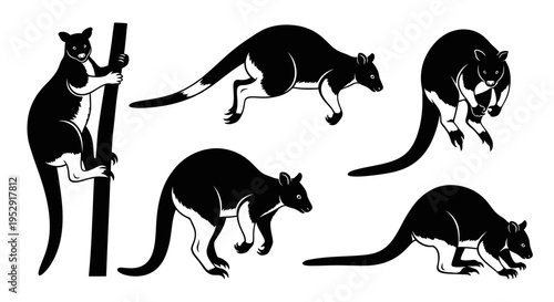 Set of Kangaroo Silhouettes in Various Poses - Climbing, Jumping, Standing