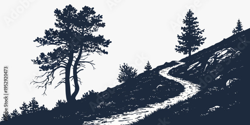 A winding path through a serene forest landscape under the moonlight