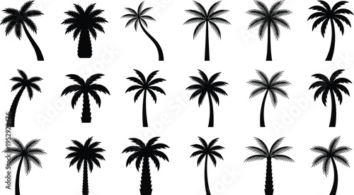 Palm tree silhouette collection isolated on white background, tropical coconut trees set, beach landscape elements, summer vacation design, exotic island nature vector bundle