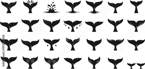 Whale tail silhouette collection isolated on white background, marine animal fluke set, ocean wildlife design elements, aquatic logo shapes, vector illustration bundle