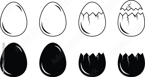 Eggshell cracking stages illustration