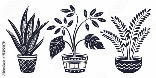 Three distinct potted plants with varying leaf shapes and sizes.