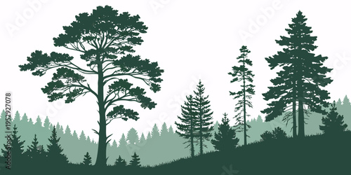 A serene landscape featuring tall trees on a hillside with a forest in the background