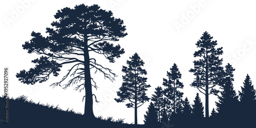 Silhouettes of tall trees against a dark sky with a distant mountain range.