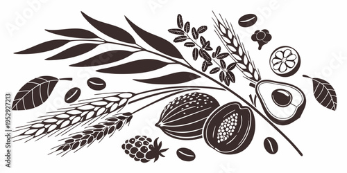 A diverse collection of seeds and grains showcasing nature's bounty and variety