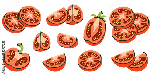 Collection of Red Tomato Slices and Halves vector illustration
