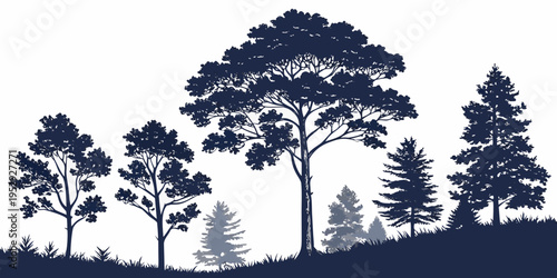 Silhouette of trees on a hill during sunset with a serene atmosphere