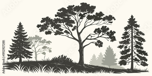 A serene forest scene with a variety of trees and a peaceful atmosphere.