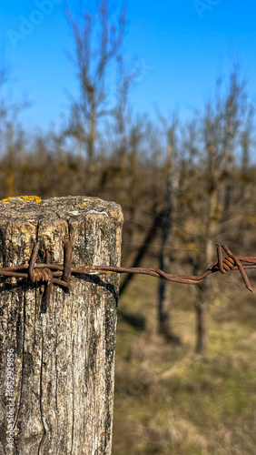 Close-up of a rusty barbed wire fence post against a blue sky and dormant orchard in bright daylight ideal for editorial, agriculture marketing, rural lifestyle blogs, social media