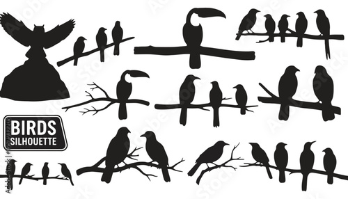 Birds silhouette illustration with various species on branches and in flight