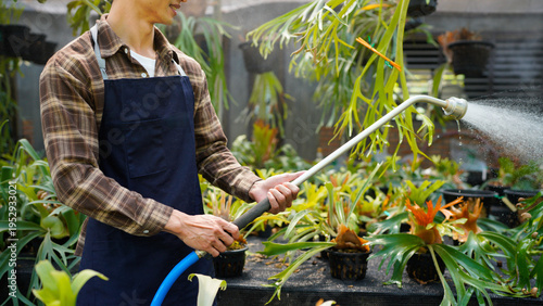 Photos A gardener with a watering hose and a sprayer water working in greenhouse and watering fern