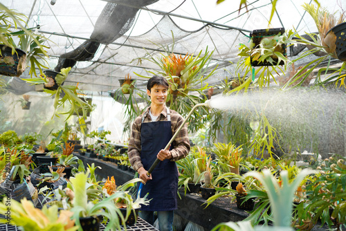 Bilde på lerret A gardener with a watering hose and a sprayer water working in greenhouse and watering fern
