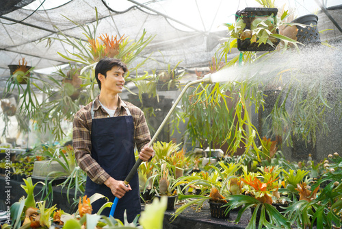 Fotografija A gardener with a watering hose and a sprayer water working in greenhouse and watering fern