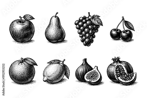 Vintage illustration of assorted fruits including apple, pear, grapes, cherries, orange, lemon, figs, and pomegranate