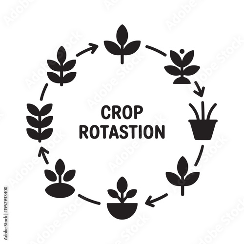 Wallpaper Mural Crop rotation cycle illustrated with plants arrows and a potted seedling Torontodigital.ca